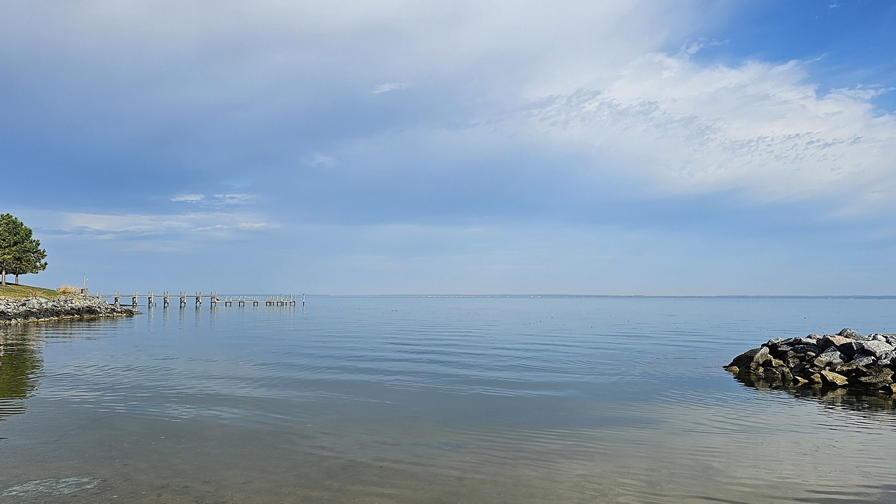 Photo of Others in Mount Holly