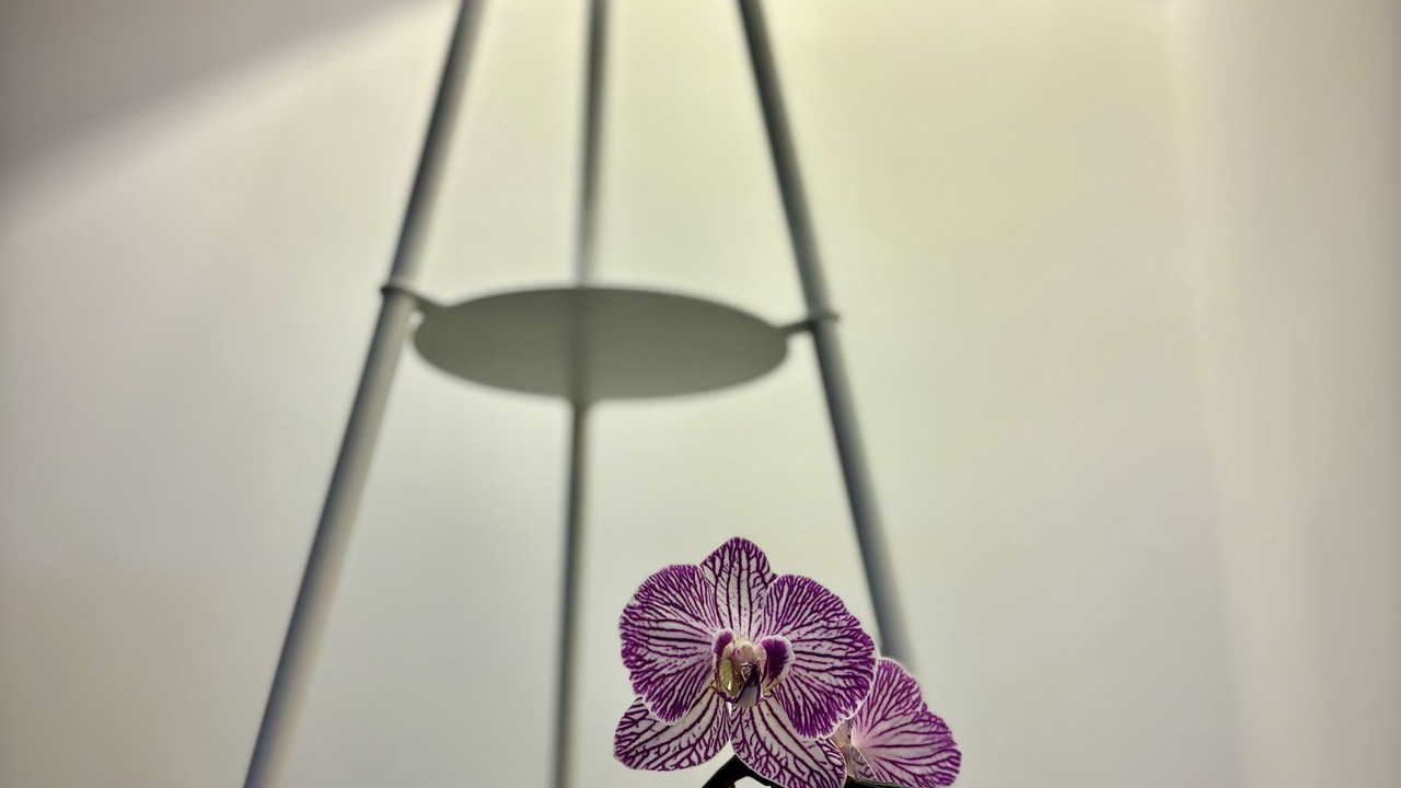 Photo of Others in Lower Shotover