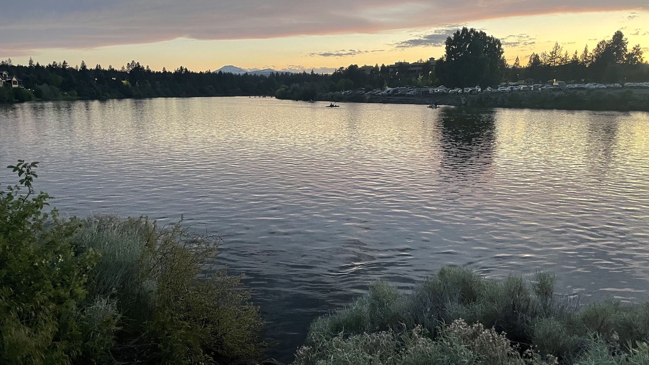 Photo of Others in Mountain View