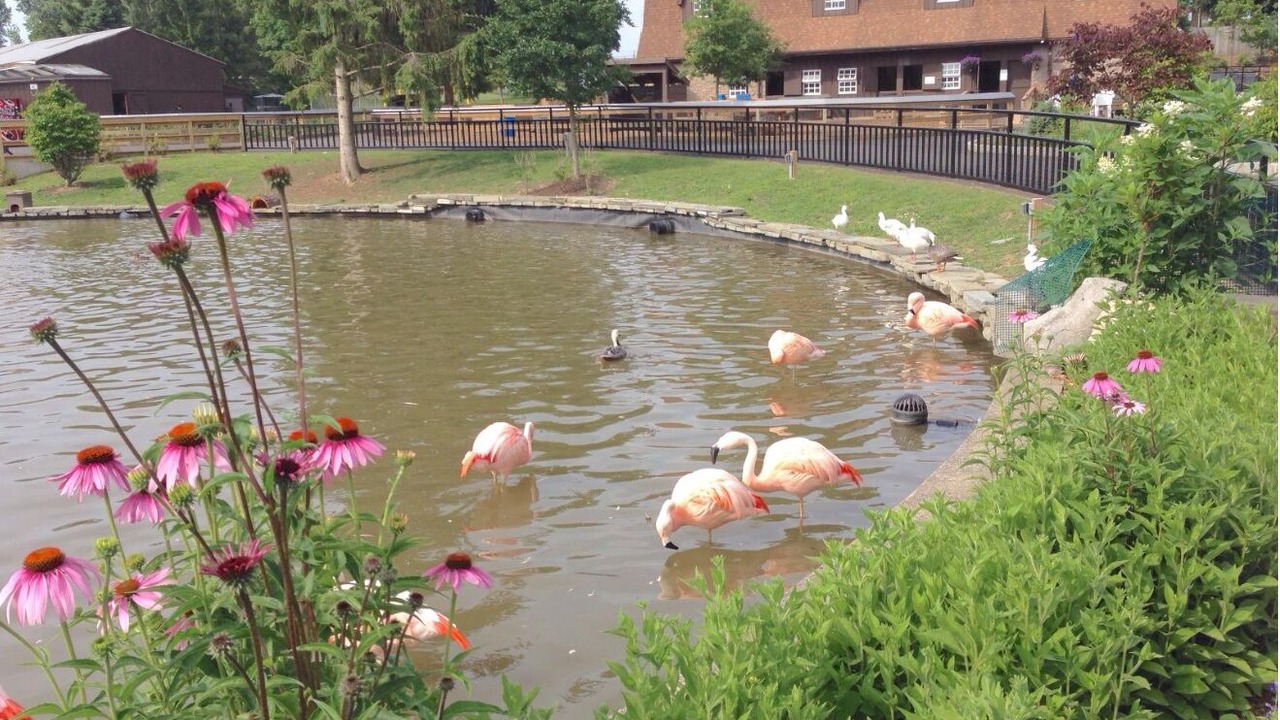 Photo of Others in Bridgeport