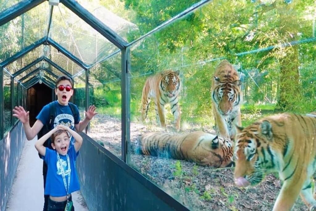 Photo of Others in Trappes