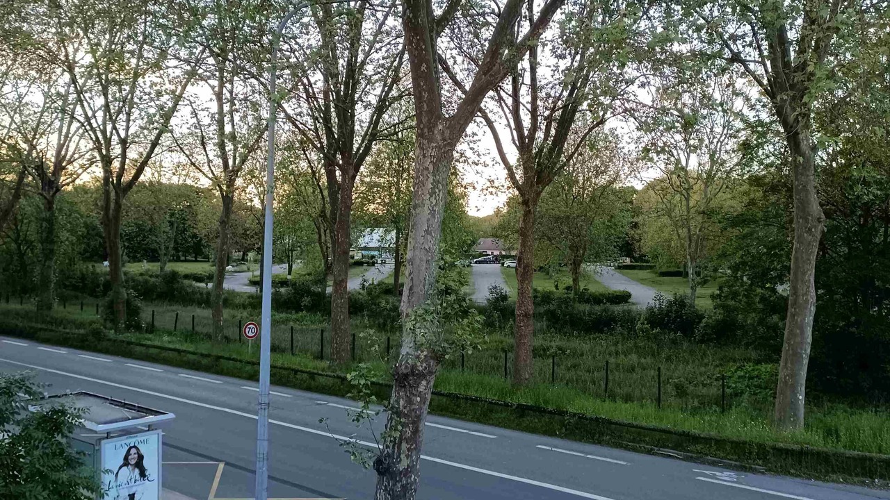 Photo of Others in Trappes