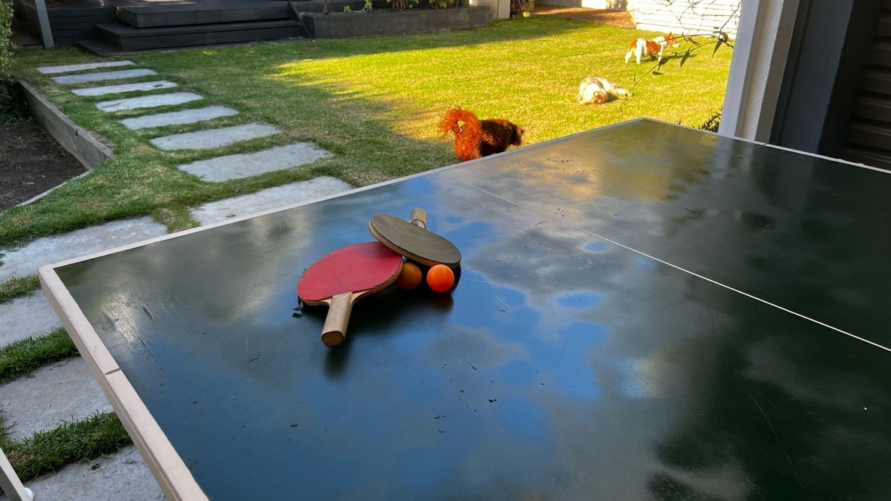 Photo of Others in San Remo