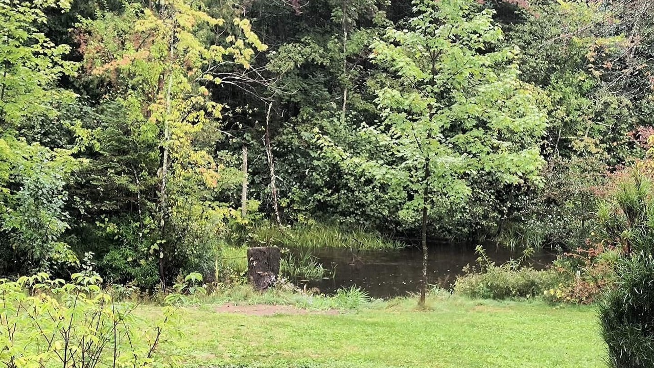 Photo of Outdoor in White Lake
