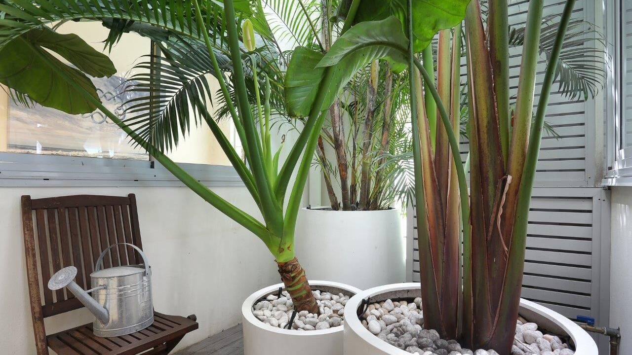 Photo of Outdoor in North Bondi