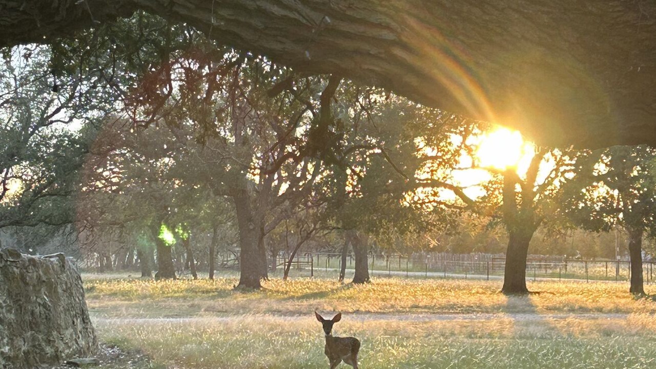 Photo of Outdoor in Harper
