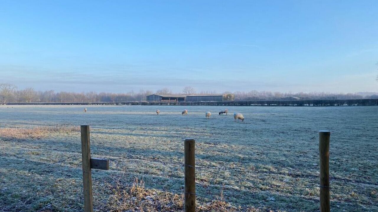 Photo of Others in Leicester