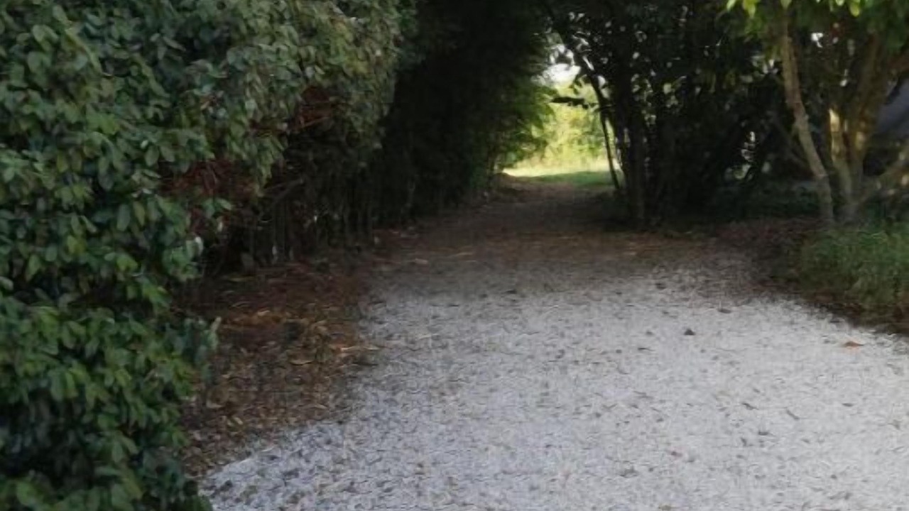 Photo of Outdoor in Clermont-Pouyguilles