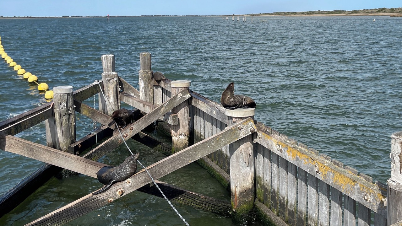 Photo of Others in Nangkita