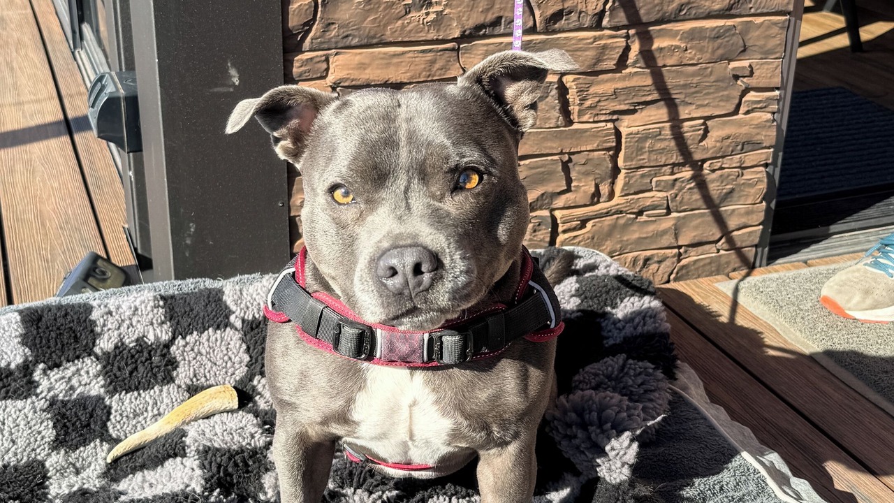 Photo of Outdoor in Nangkita