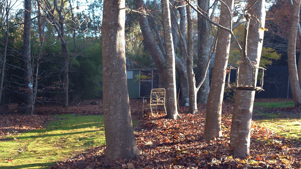 Photo of Outdoor in Olinda