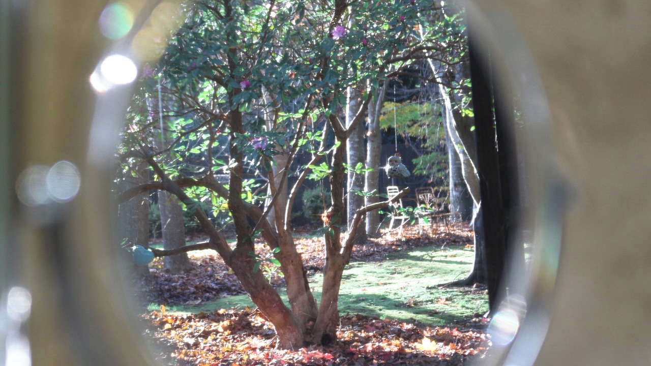 Photo of Outdoor in Olinda