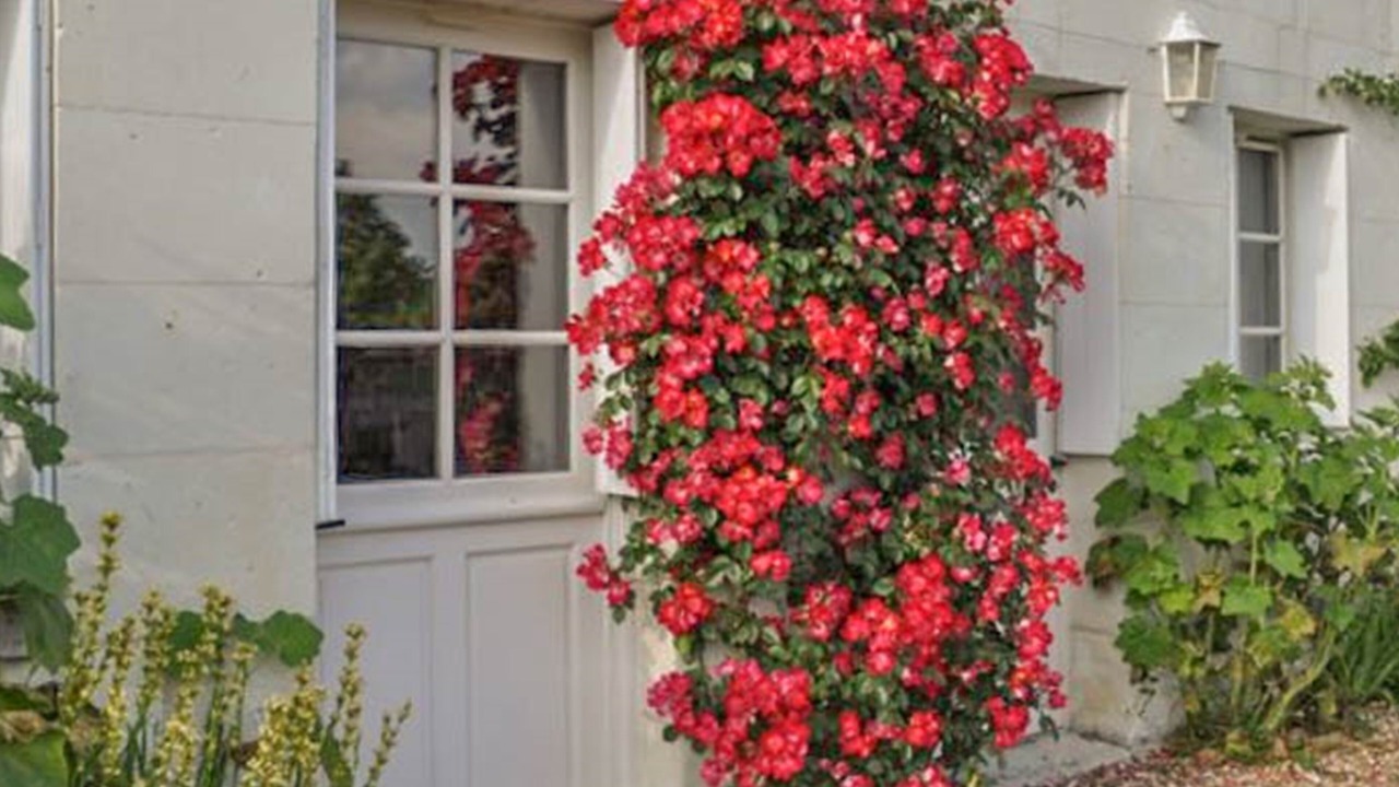 Photo of Outdoor in Chambourg-sur-Indre