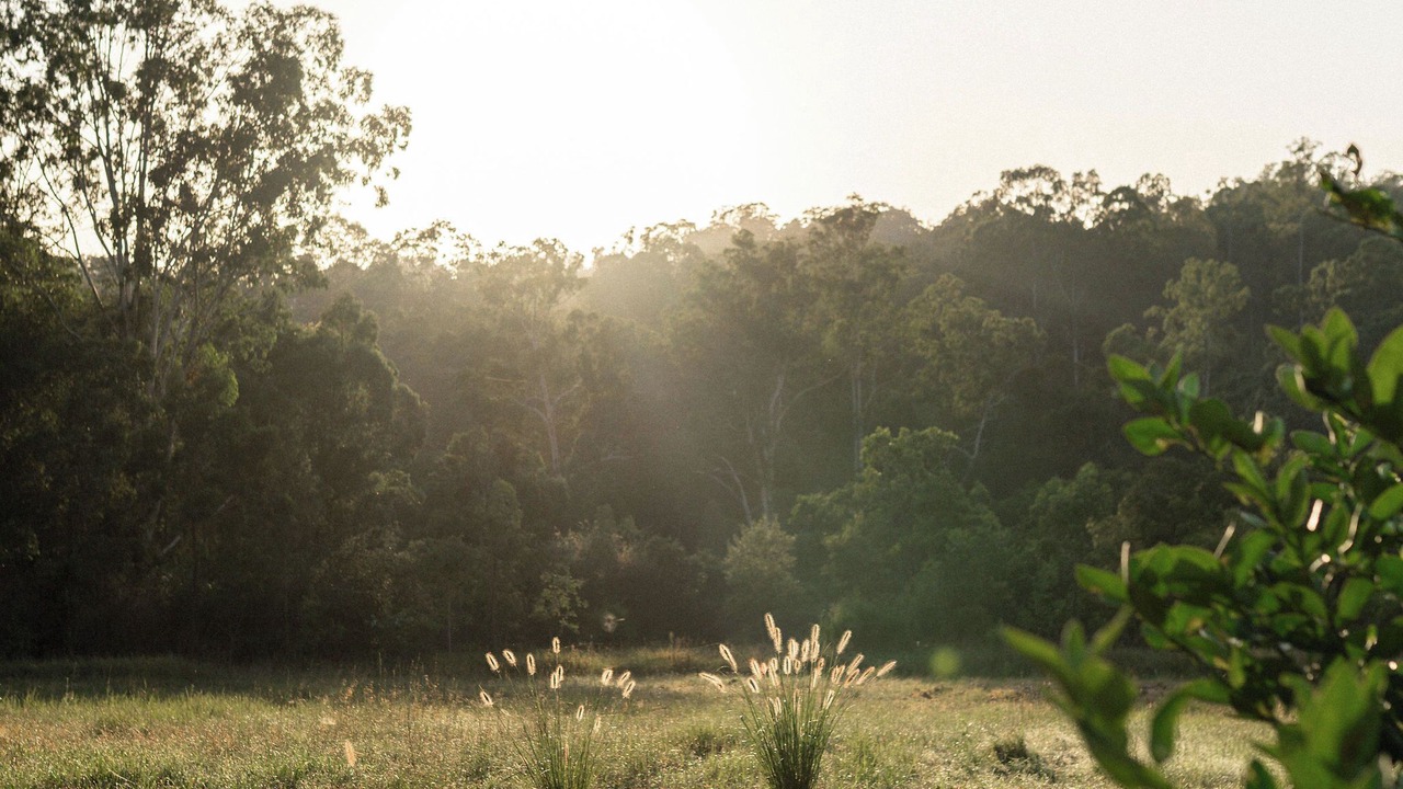 Photo of Others in Wingham