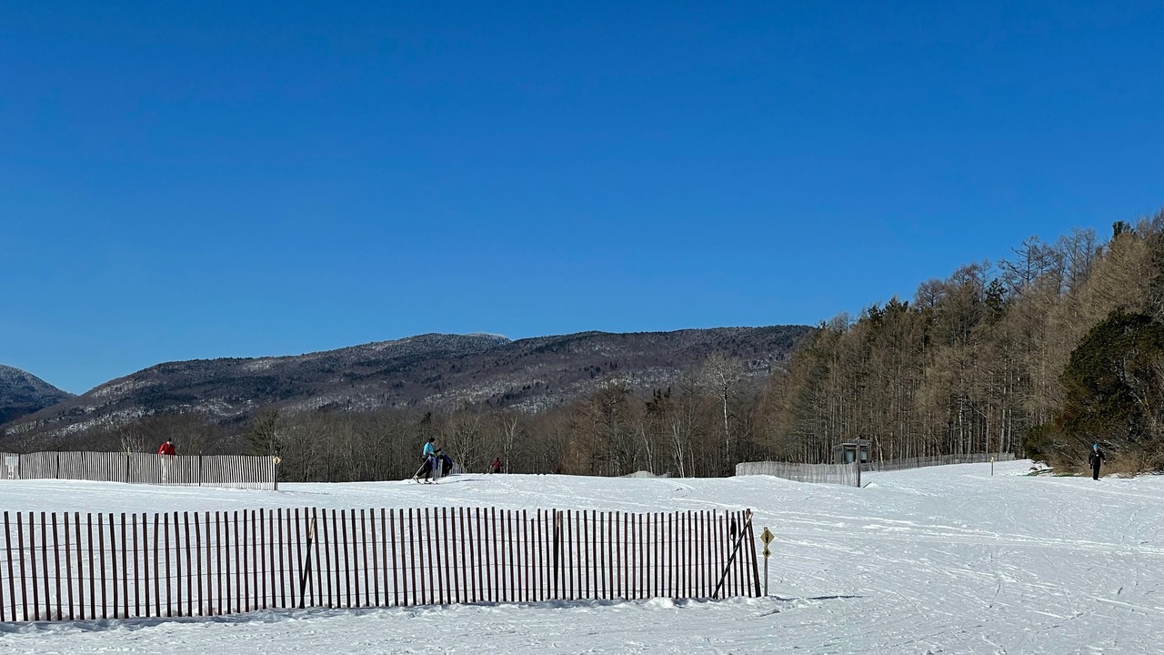 Photo of Others in Moscow