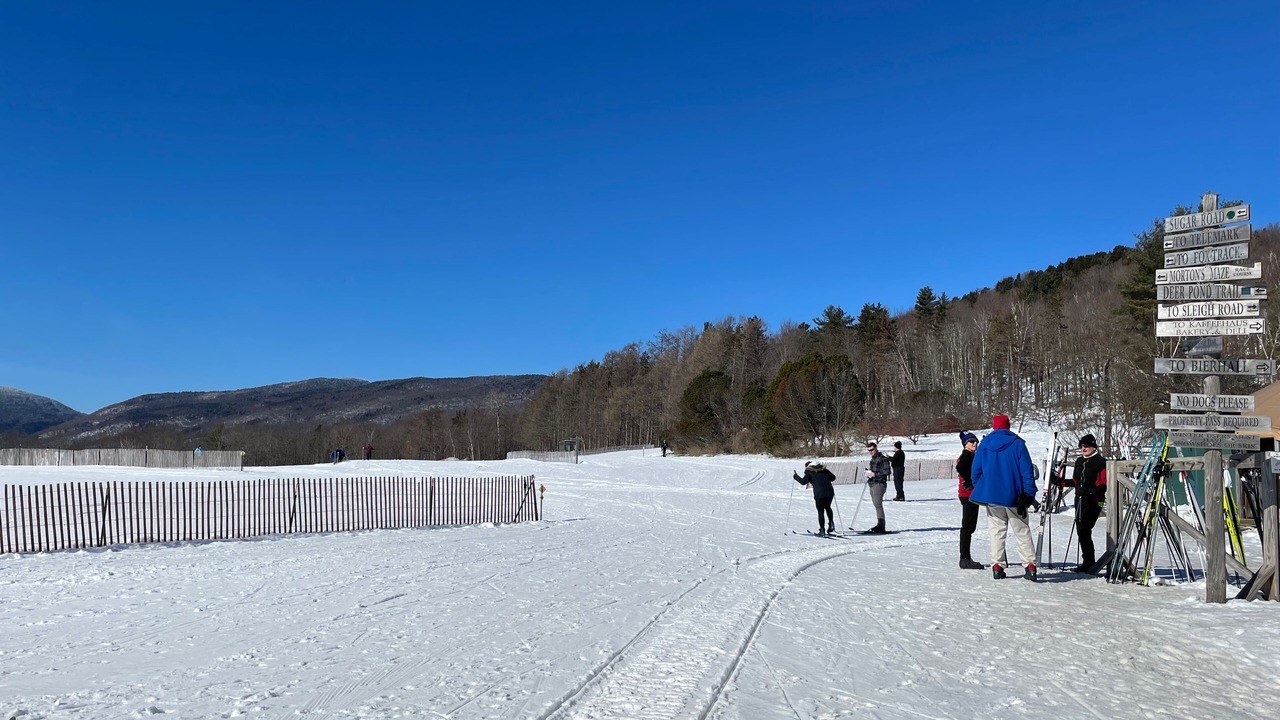 Photo of Others in Moscow