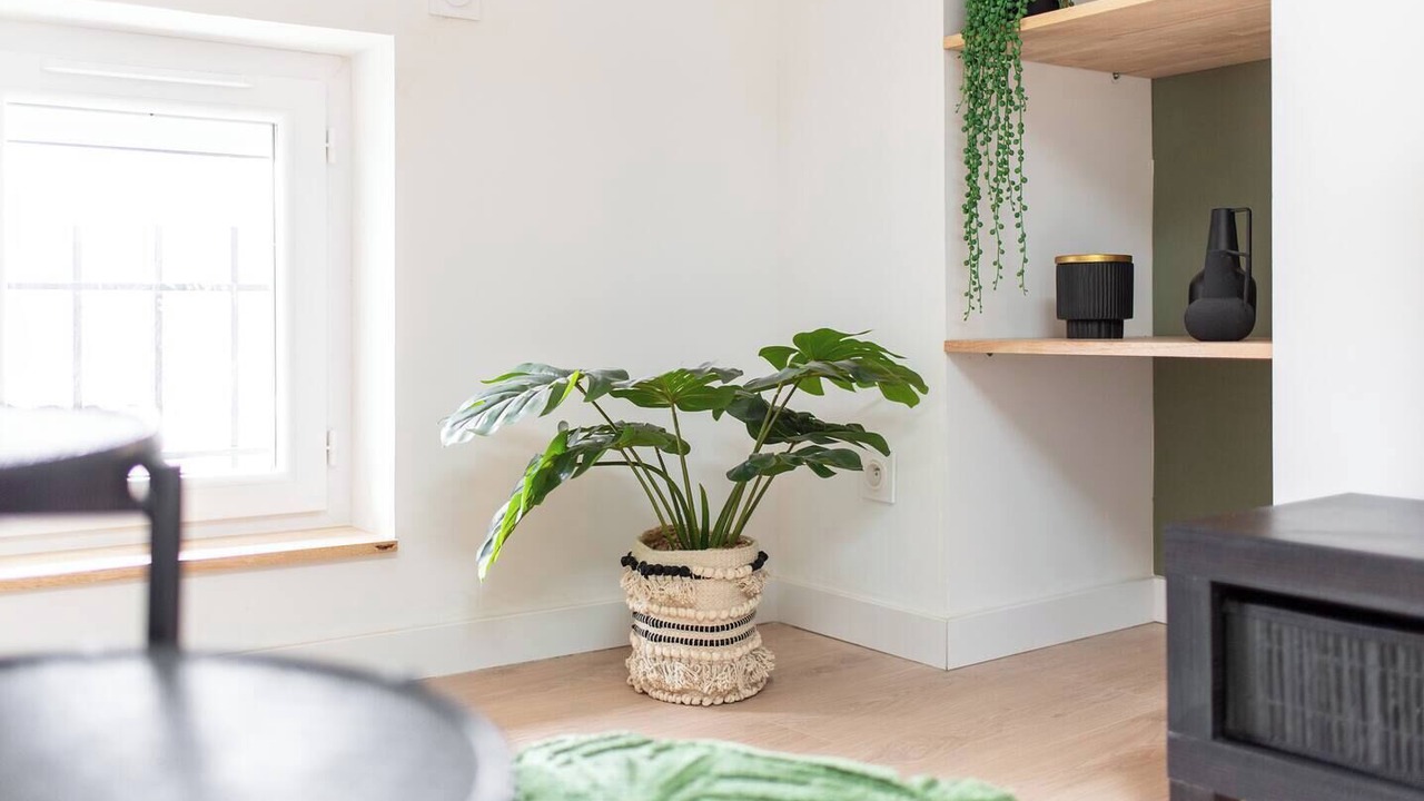 Photo of Others in Mazamet