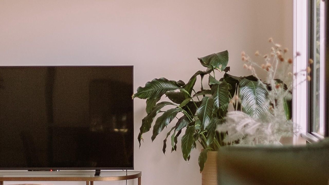 Photo of Livingroom in Willunga
