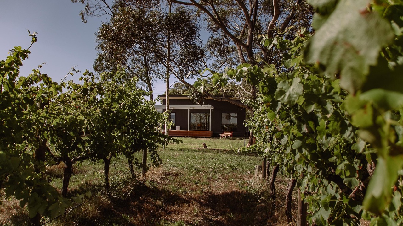 Photo of Outdoor in Willunga