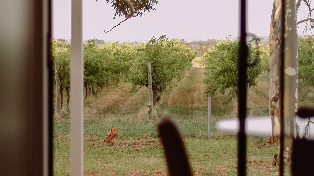 Photo of Others in Willunga