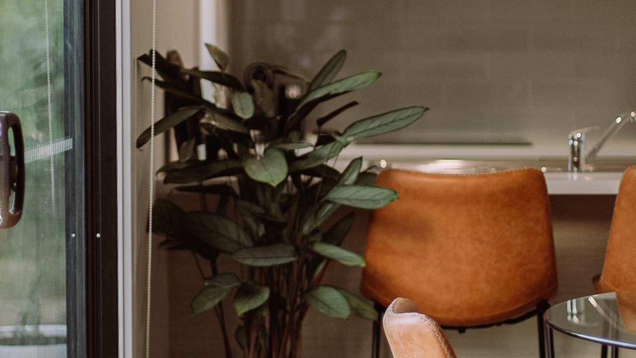 Photo of Others in Willunga