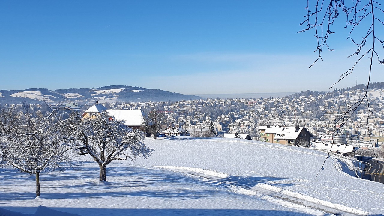 Photo of Others in St. Gallen