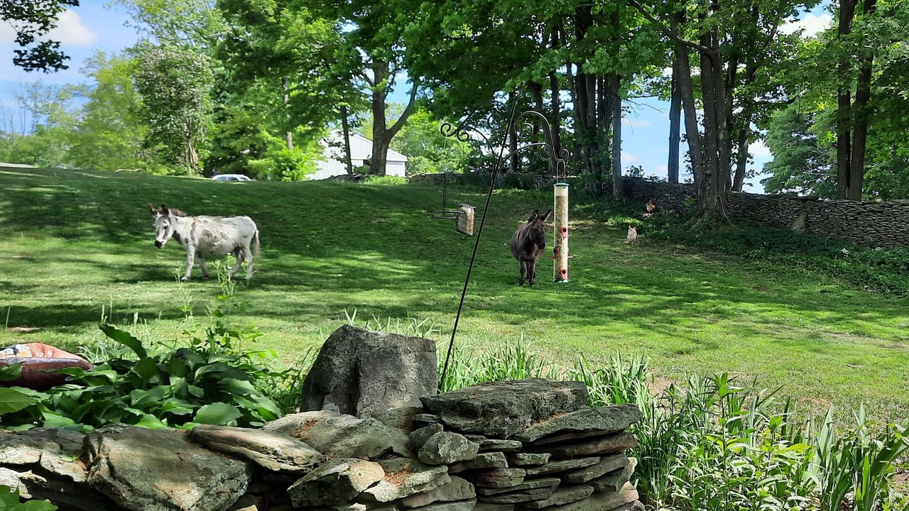 Photo of Outdoor in Montrose