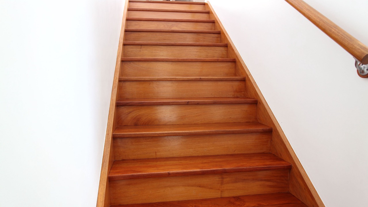 Photo of Others in Sunshine Coast