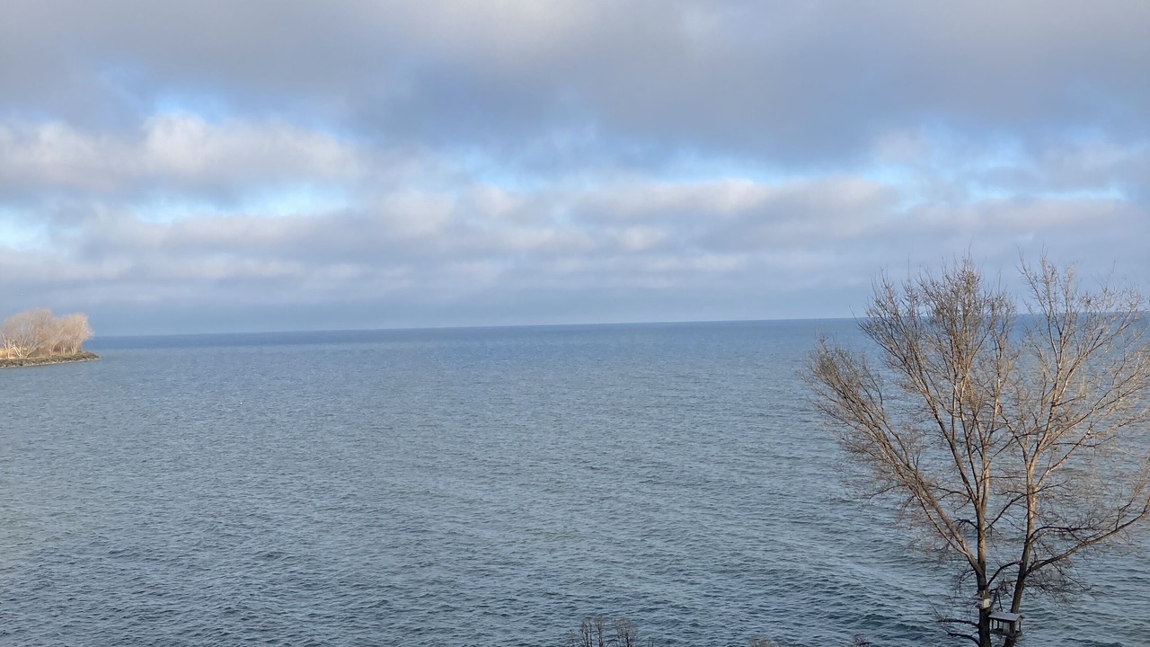 Photo of Others in Lorain