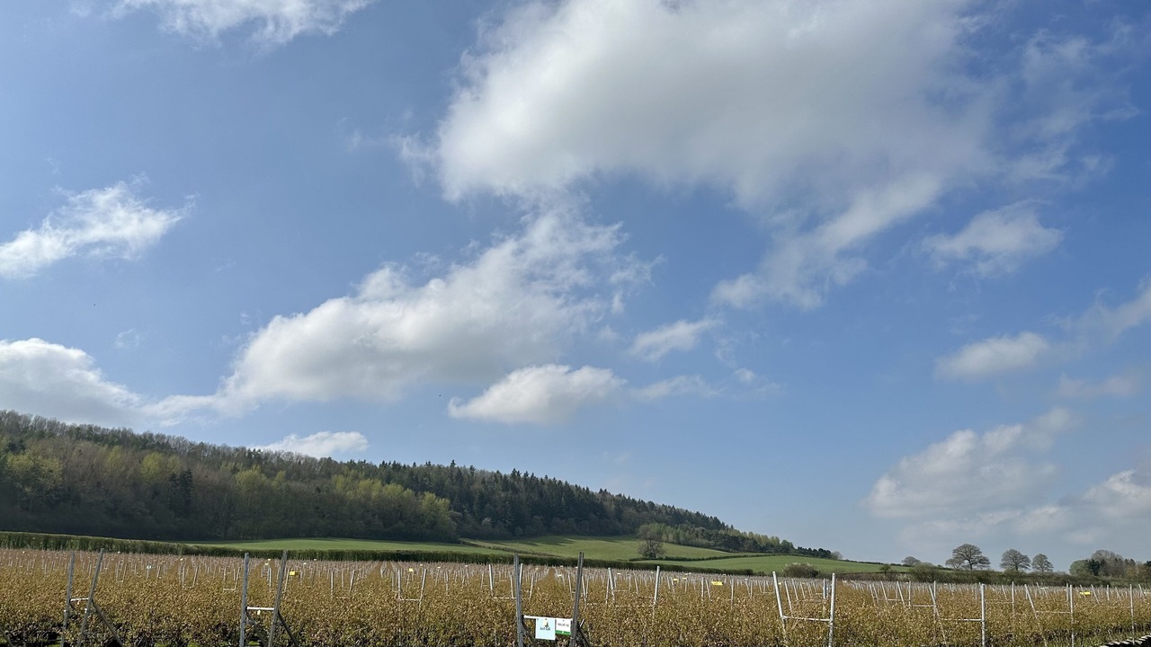 Photo of Others in Leominster