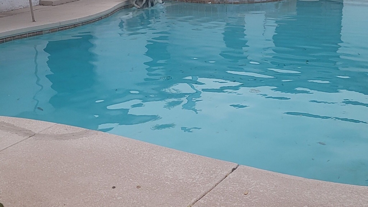 Photo of Outdoor in El Paso