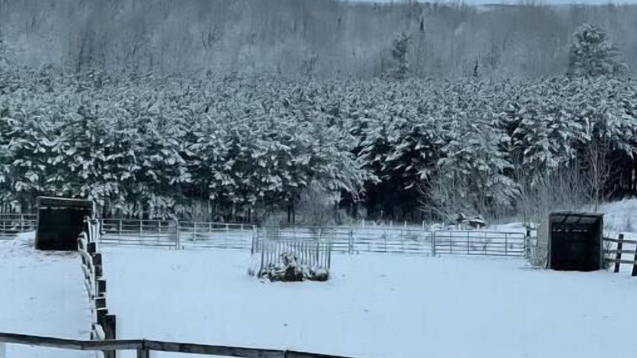Photo of Outdoor in Merrill