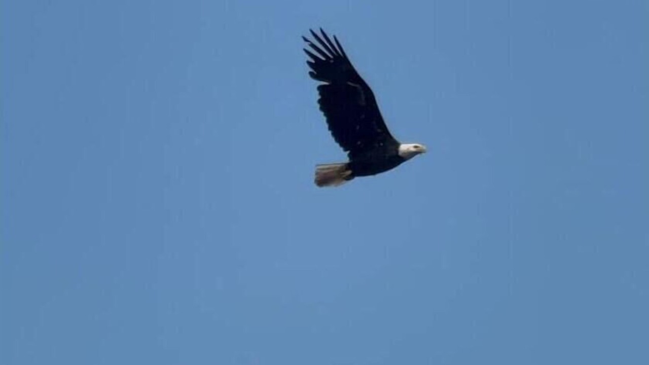 Photo of Others in Merrill