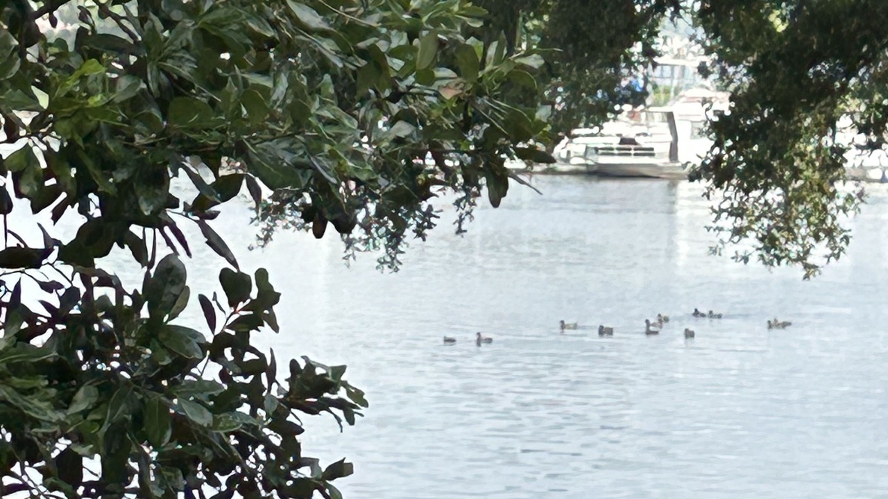 Photo of Outdoor in Walden on Lake Conroe