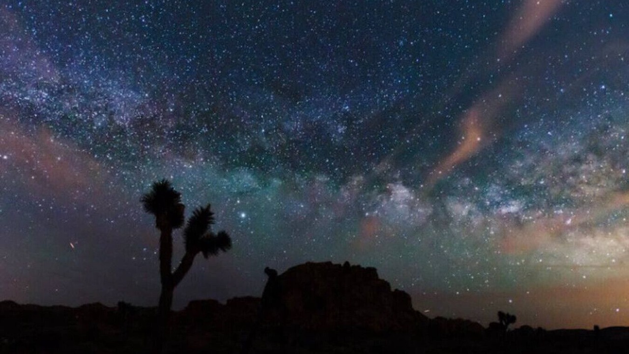 Photo of Others in Yucca Valley