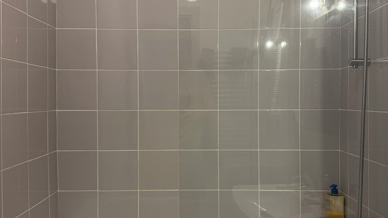 Photo of Bathroom in Flandres