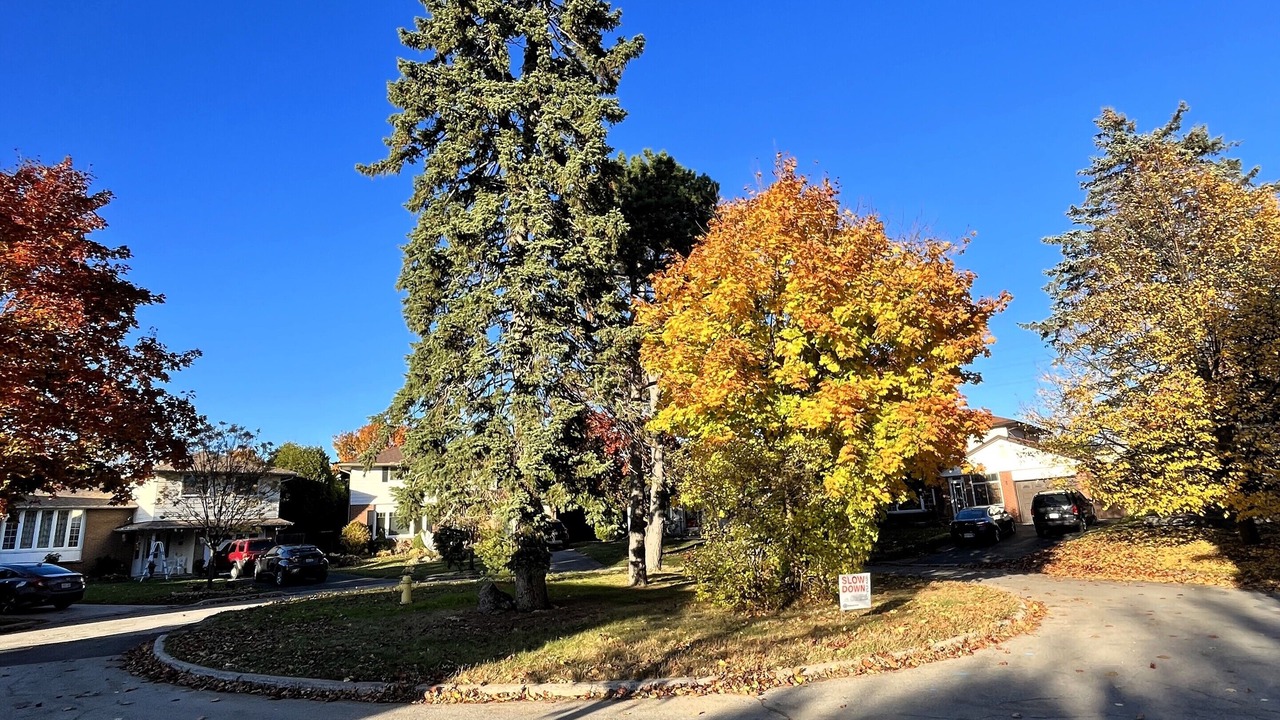 Photo of Outdoor in Oshawa