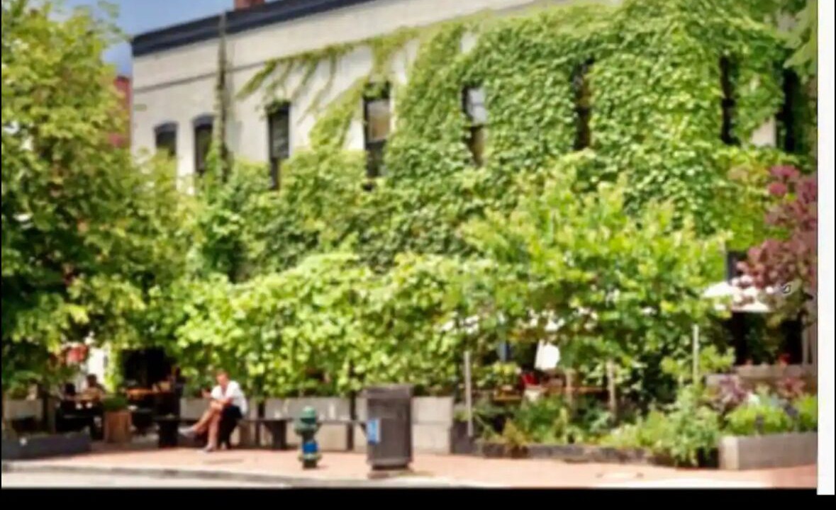 Photo of Others in Shaw