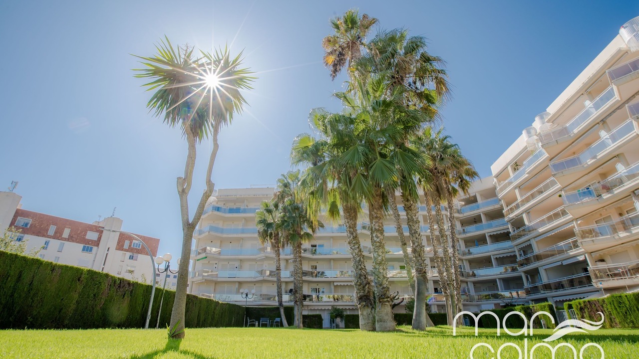 Photo of Outdoor in Miami Platja