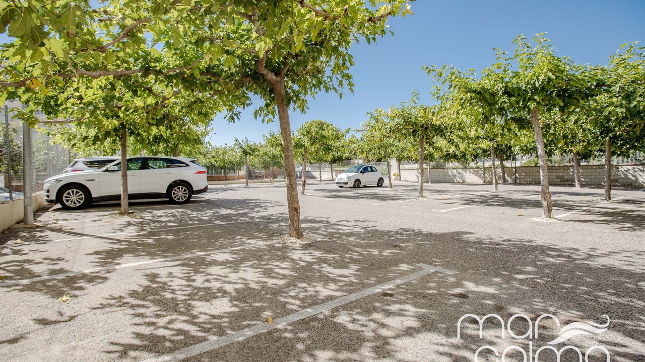 Photo of Outdoor in Miami Platja