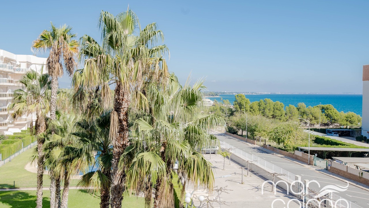 Photo of Outdoor in Miami Platja