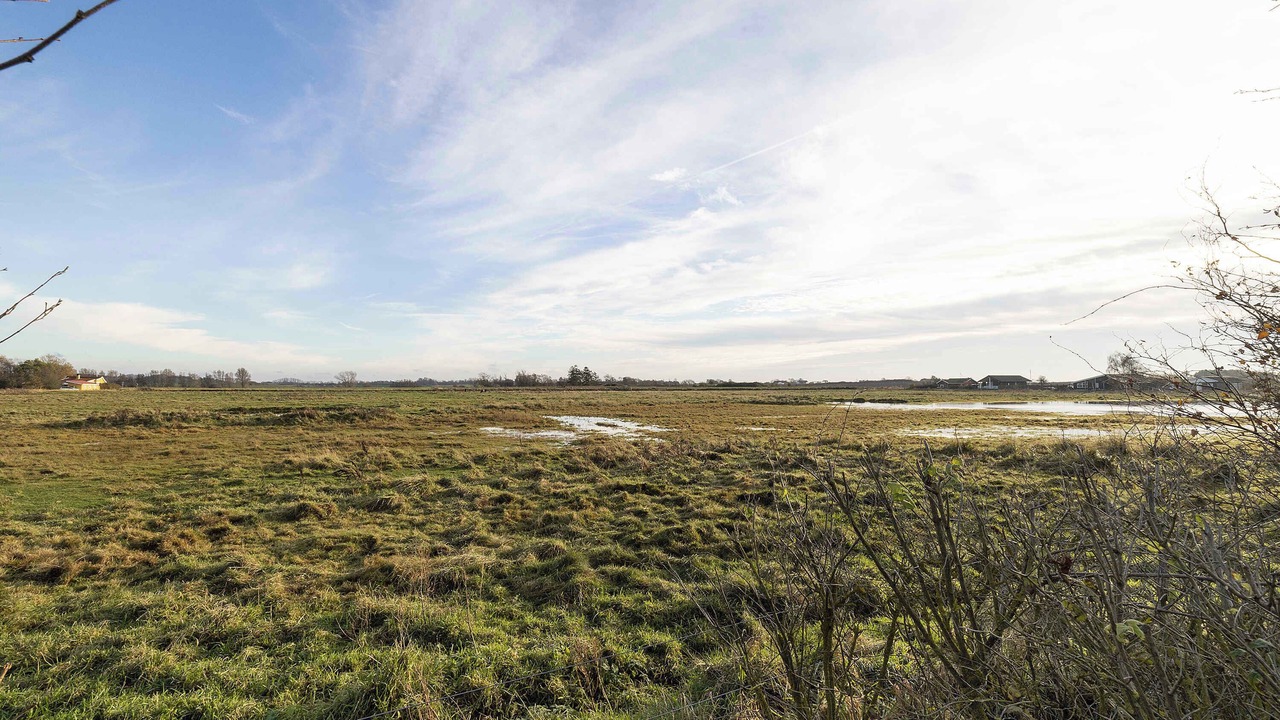 Photo of Others in Mesinge