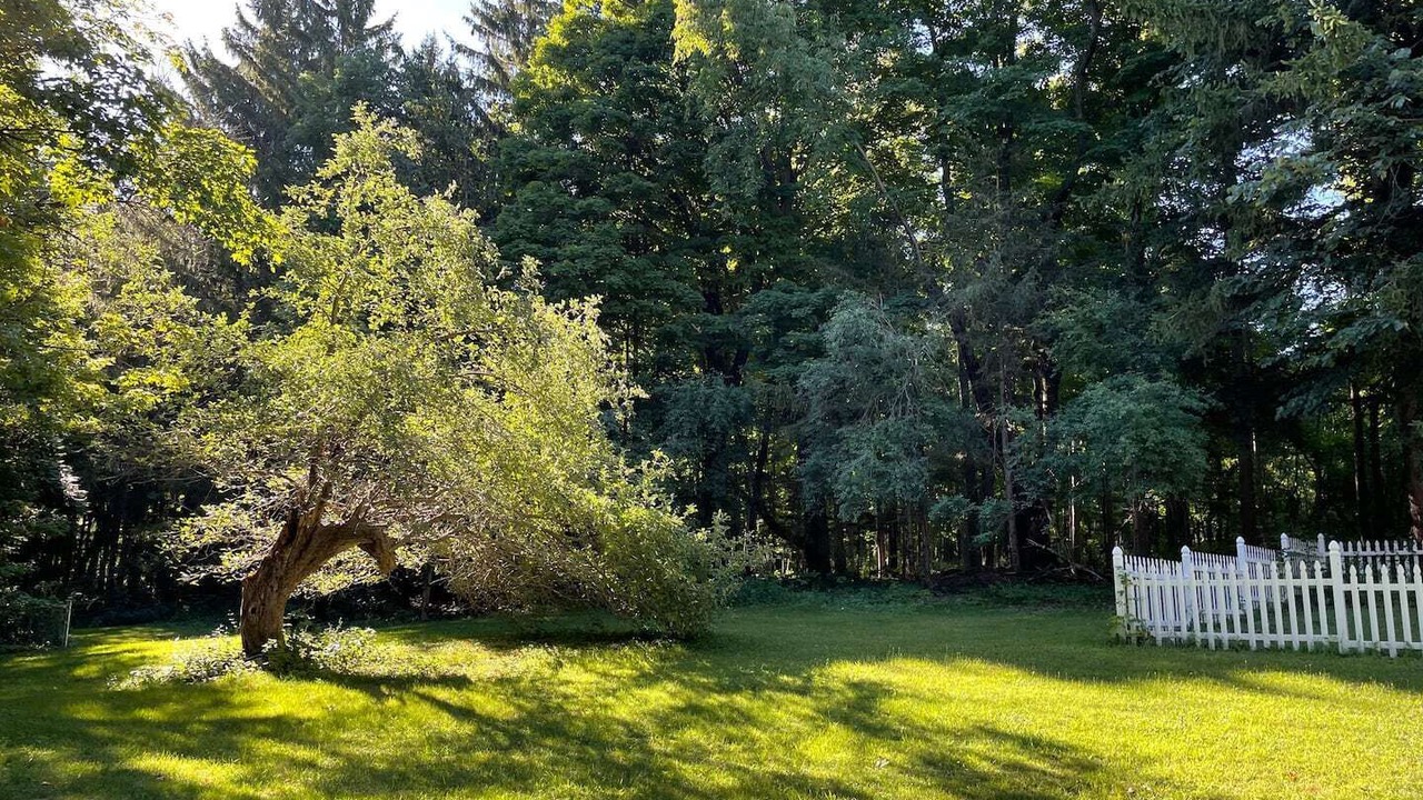 Photo of Outdoor in Fayetteville