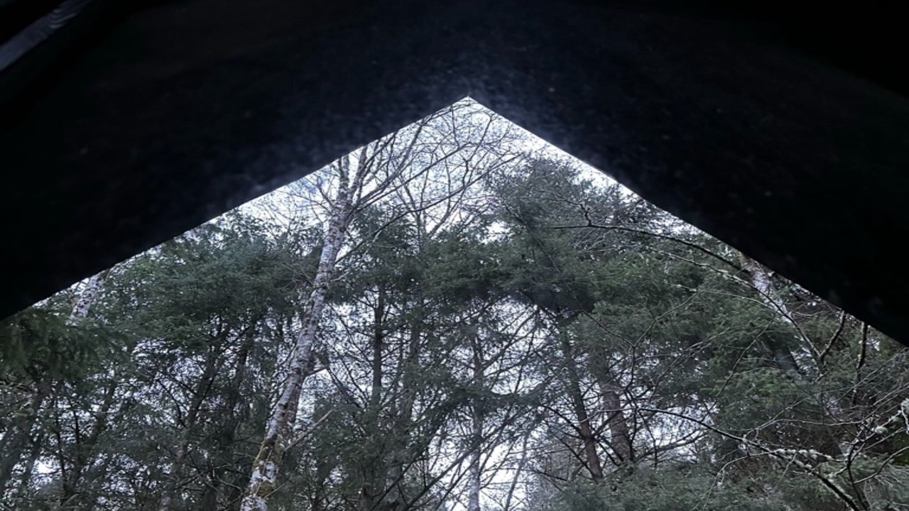 Photo of Others in Arch Cape