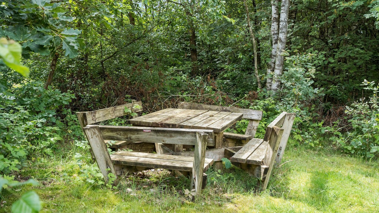 Photo of Others in Skygge