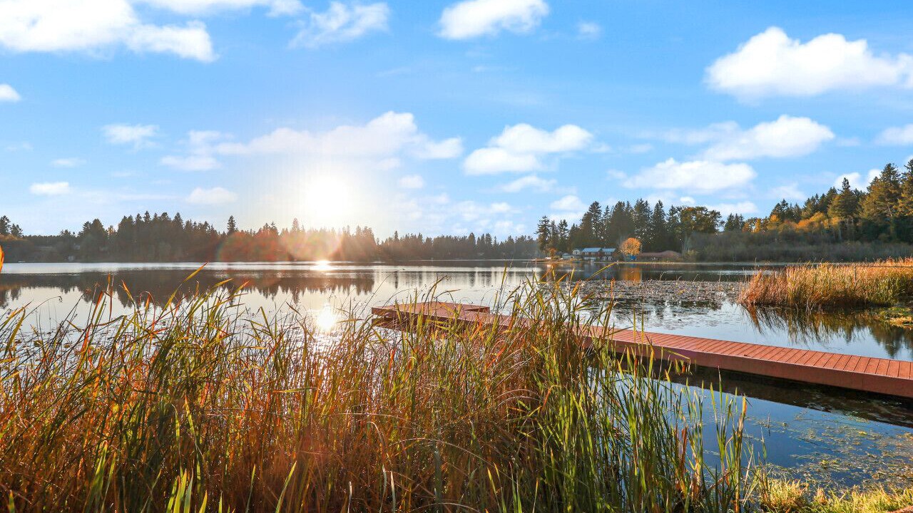 Photo of Others in East Olympia