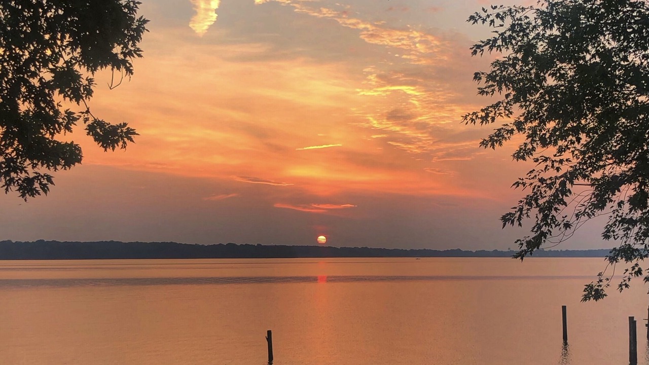 Photo of Outdoor in Magnolia