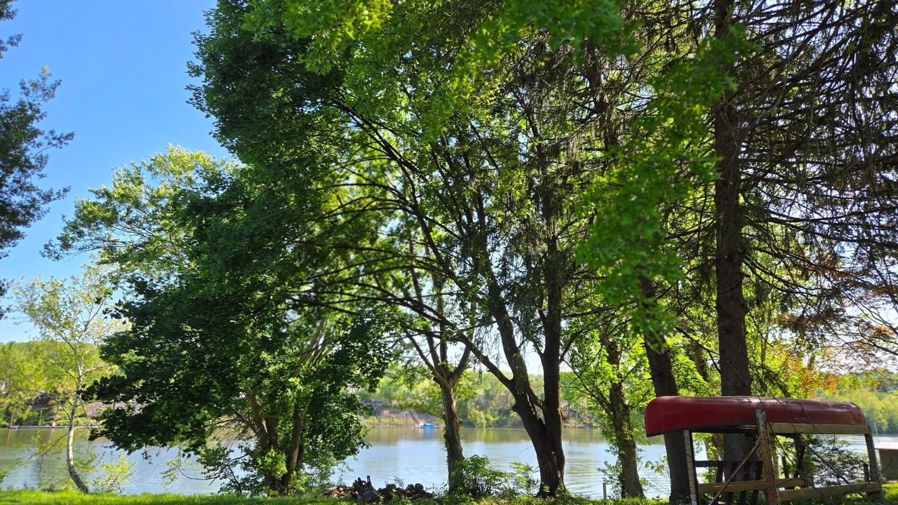 Photo of Others in Spring Hill