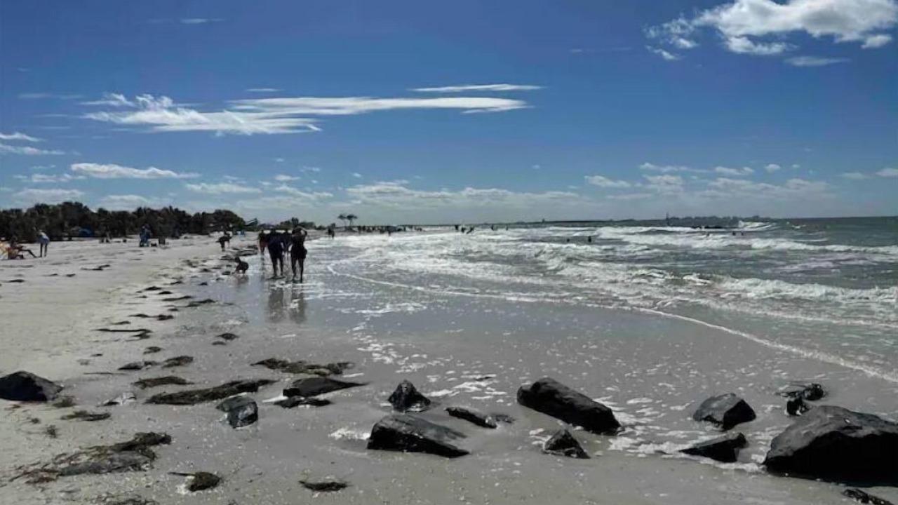Photo of Others in Tarpon Springs