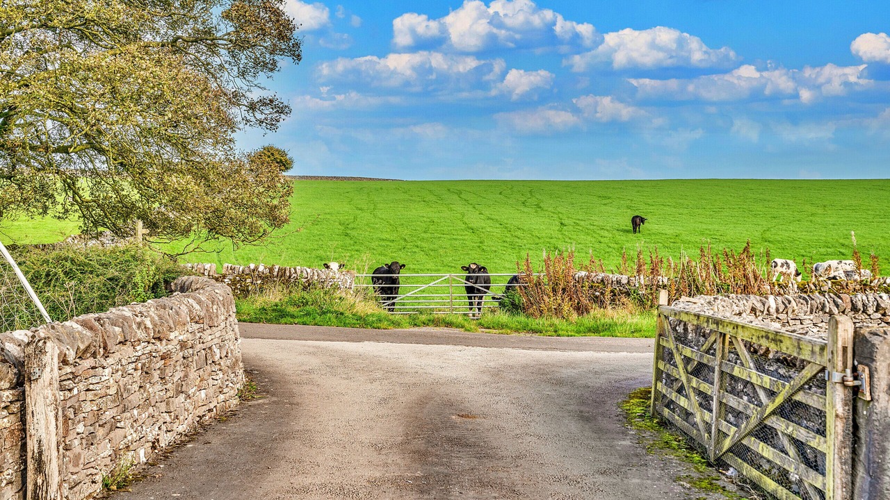 Photo of Others in Newton Grange